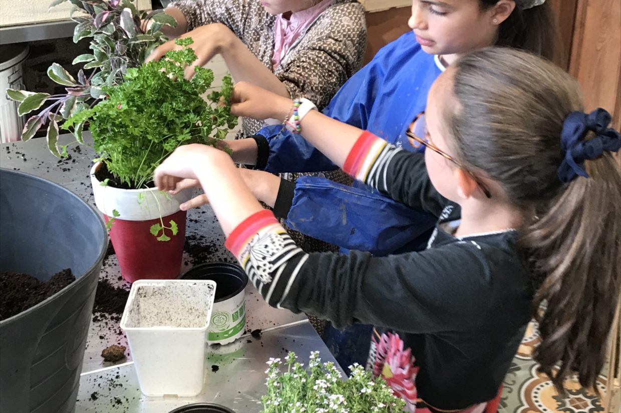 Atelier jardinage pour enfants