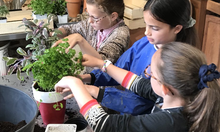 Atelier jardinage pour enfants