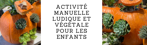 Atelier enfants - Citrouille