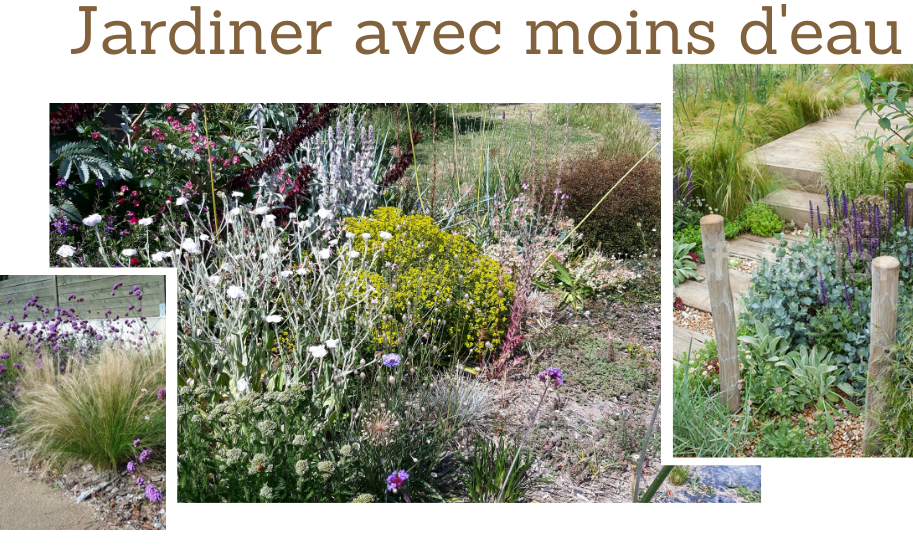 Jardiner avec moins d'eau