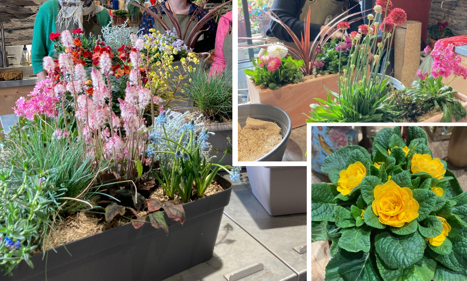 Atelier jardinage chez Hortelli Angers