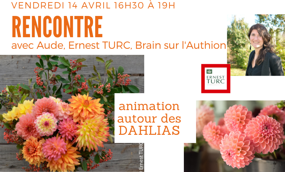 Animation-rencontre autour des dahlias