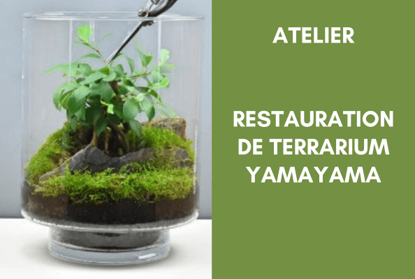 Atelier terrarium chez Hortelli Angers