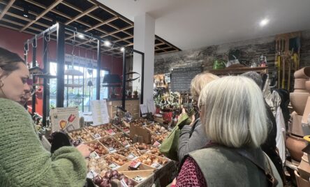 Atelier bulbes chez Hortelli a Angers