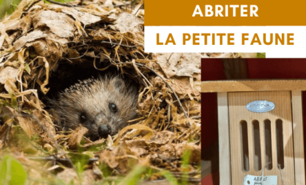 Abriter la faune des jardins