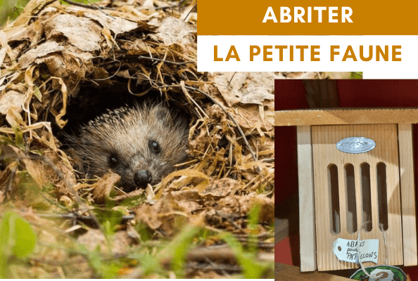 Abriter la faune des jardins