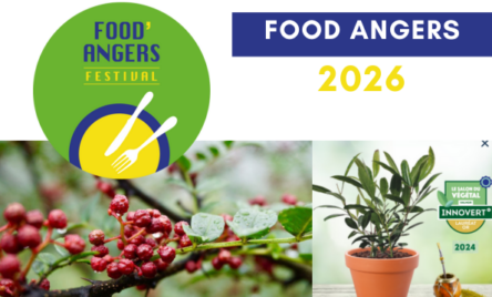 Food Angers 2025
