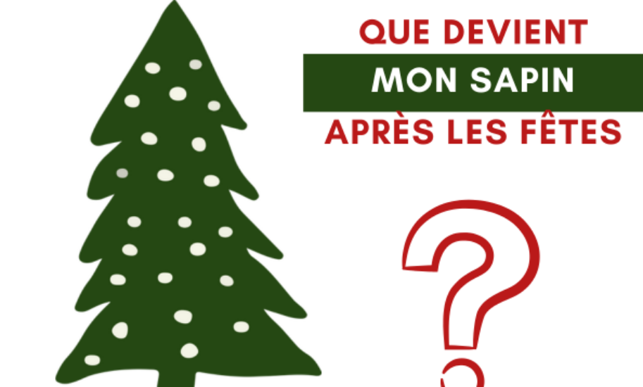 sapin-apres-fetes